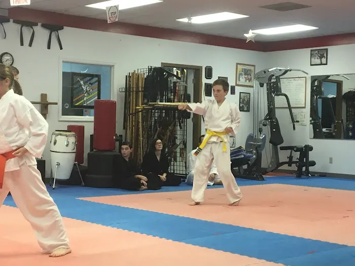 St Louis Family Martial Arts Academy Picture 10