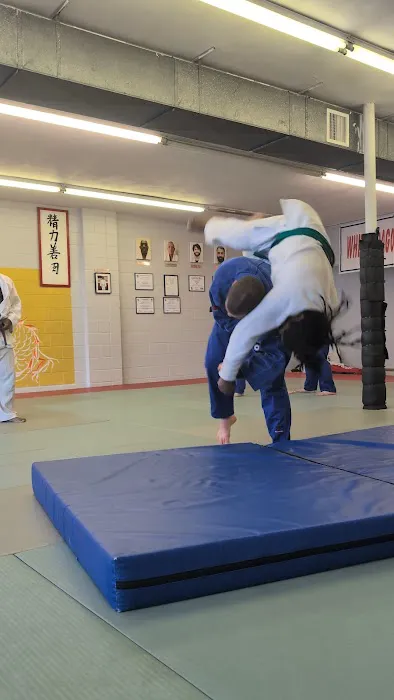 White Dragon Judo Picture 7