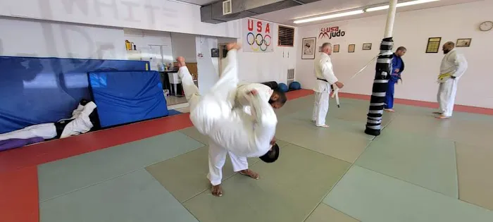 White Dragon Judo Picture 3