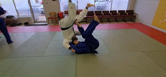 White Dragon Judo Picture 9