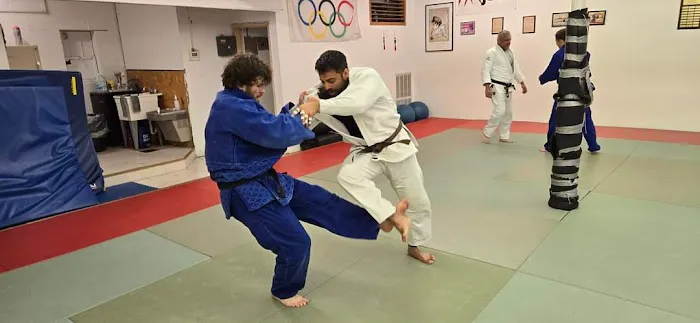 White Dragon Judo Picture 8