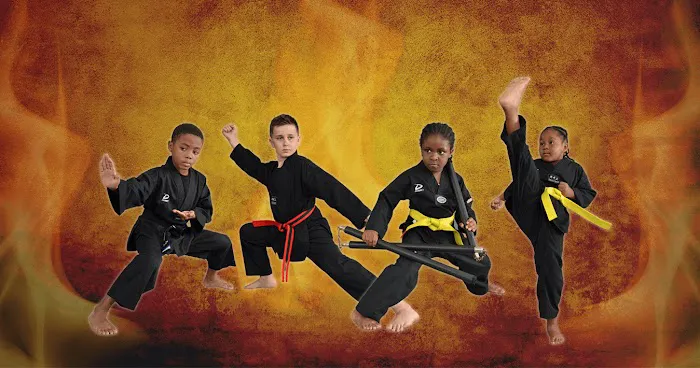 F.I.T. Martial Arts - St Louis Picture 1