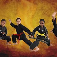 F.I.T. Martial Arts - St Louis ico