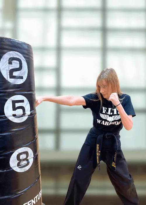 F.I.T. Martial Arts - St Louis Picture 4