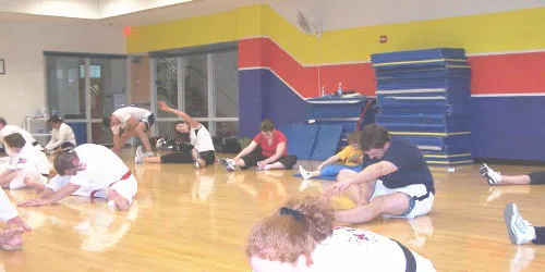 St. Louis Tae Kwon Do Academy Picture 6