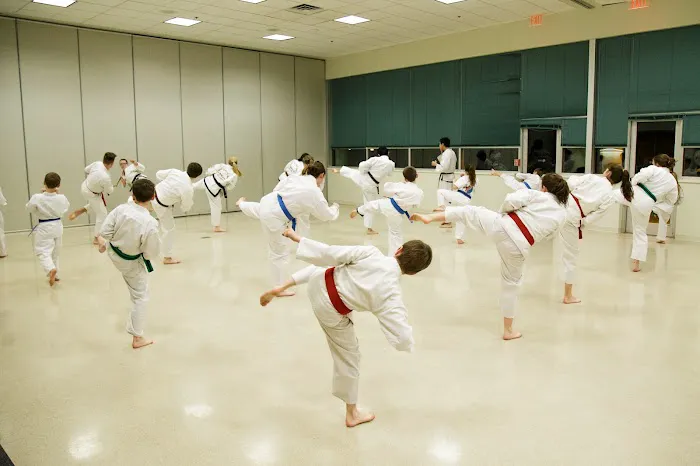 St. Louis Tae Kwon Do Academy Picture 9