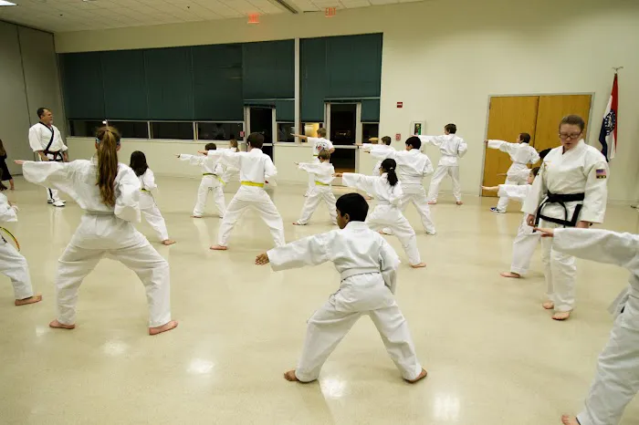 St. Louis Tae Kwon Do Academy Picture 3