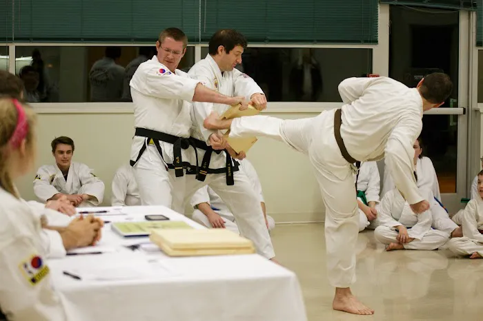 St. Louis Tae Kwon Do Academy Picture 5