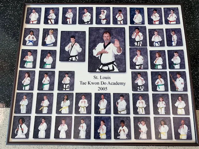 St. Louis Tae Kwon Do Academy Picture 10