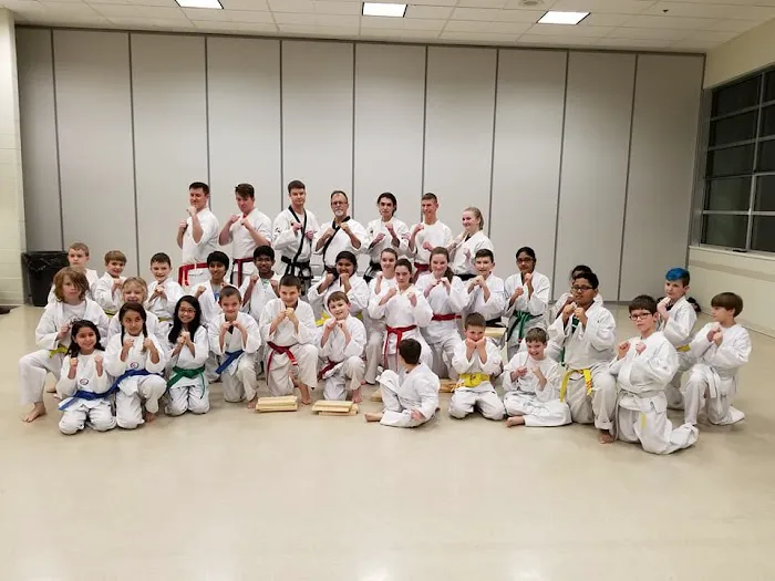 St. Louis Tae Kwon Do Academy Picture 4