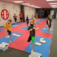 Fusion Martial Arts ico