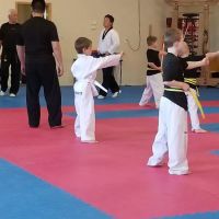 WooSop's Taekwondo ico