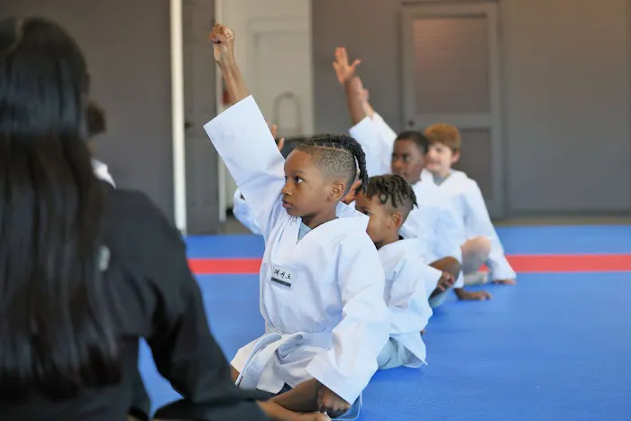 World Martial Arts Academy - Florissant Picture 7