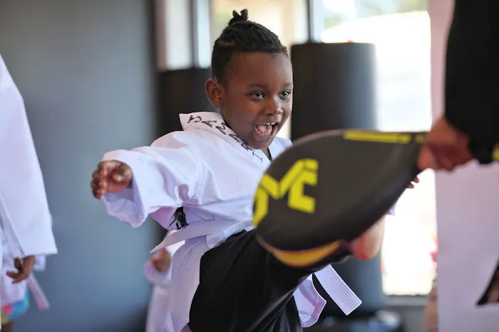 World Martial Arts Academy - Florissant Picture 2