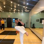 Premier Martial Arts - Wildwood, MO