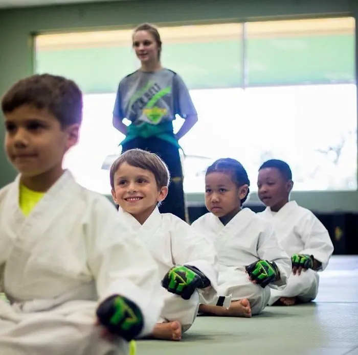 Premier Martial Arts - Wildwood, MO Picture 5