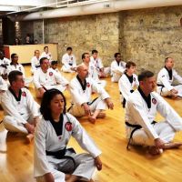 Arch Taekwondo ico