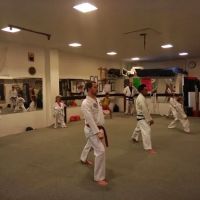 Tae Kwon-Do Karate Club ico