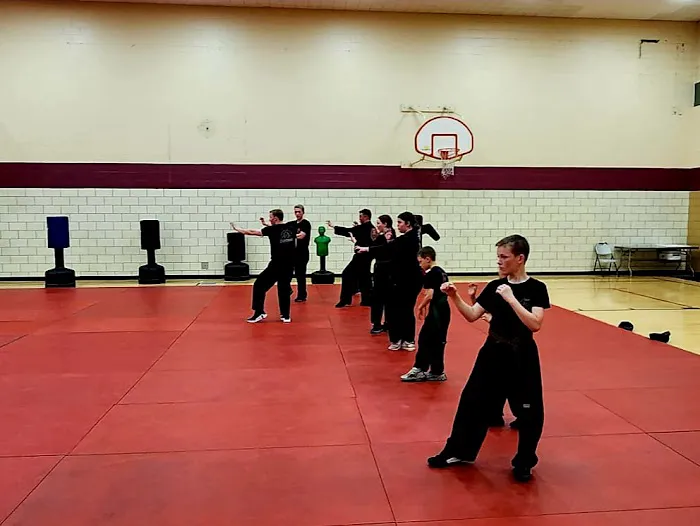 Ohana Martial Arts - South County Picture 3