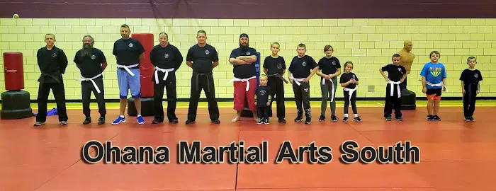 Ohana Martial Arts - South County Picture 5