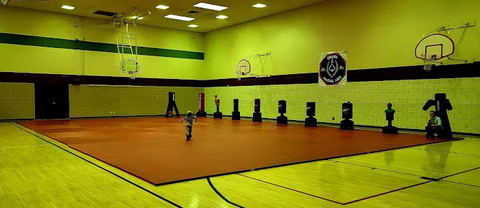 Ohana Martial Arts - South County Picture 2