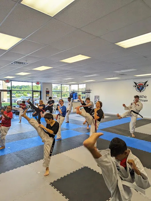 Vector Martial Arts Picture 2