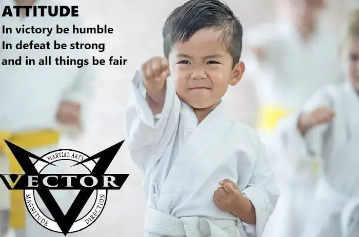 Vector Martial Arts Picture 5