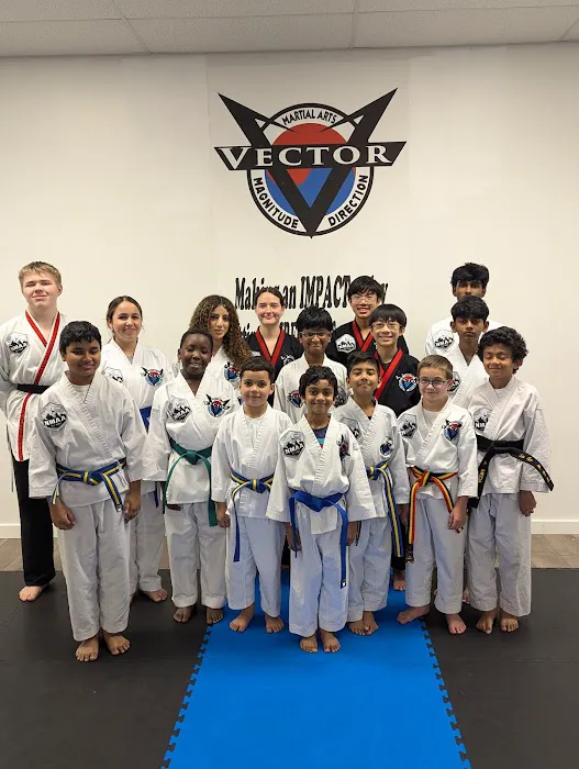 Vector Martial Arts Picture 7