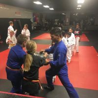 ATA Martial Arts- St. Peters ico