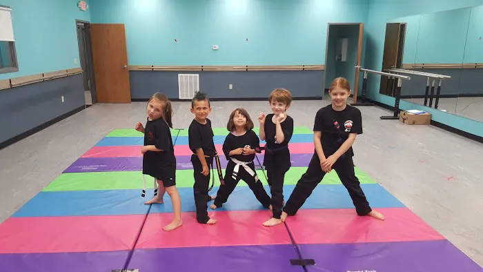 The Martial Arts Center Picture 2