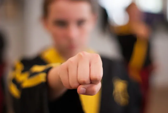 Bushido World Karate, LLC Picture 1