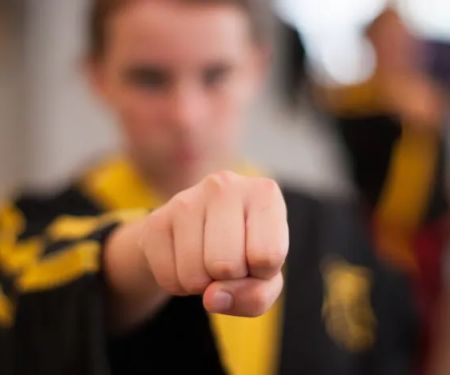 Bushido World Karate, LLC