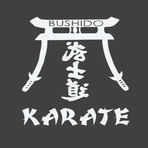 Bushido World Karate, LLC Picture 5