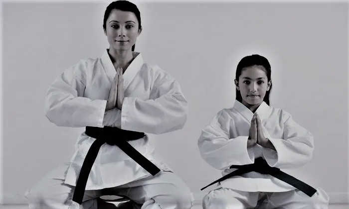 World Martial Arts SoCo Picture 3