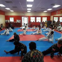 Master Park's Yong-In Taekwondo Martial Arts ico