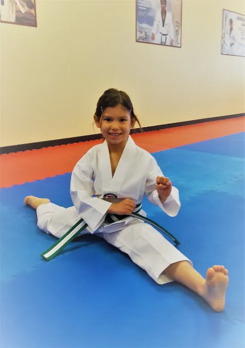 Master Park's Yong-In Taekwondo Martial Arts Picture 4