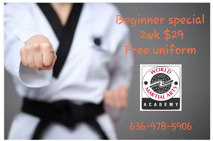 World Martial Arts Academy Picture 1