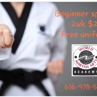 World Martial Arts Academy ico