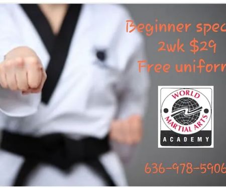World Martial Arts Academy