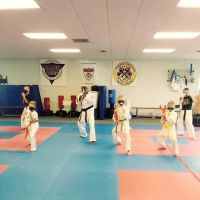 Murdock's Taekwondo USA ico