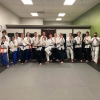 Dave Hanson's Gateway Karate ico