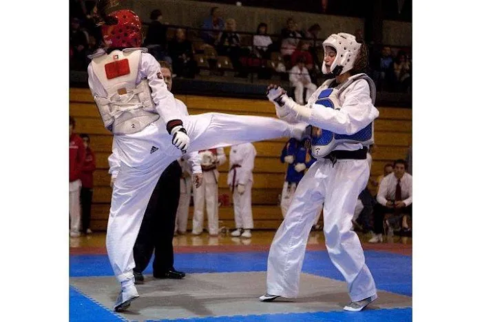 Taiga Taekwondo Picture 3