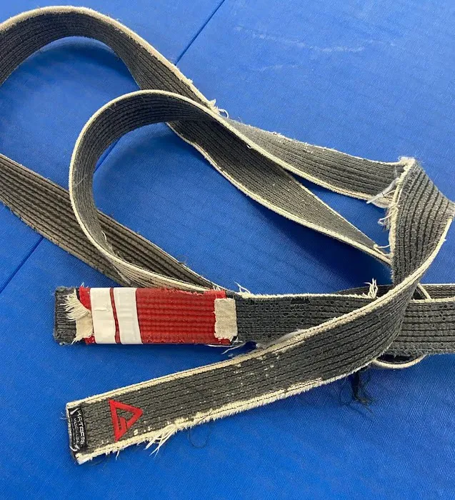 Gracie Barra O'Fallon Picture 8