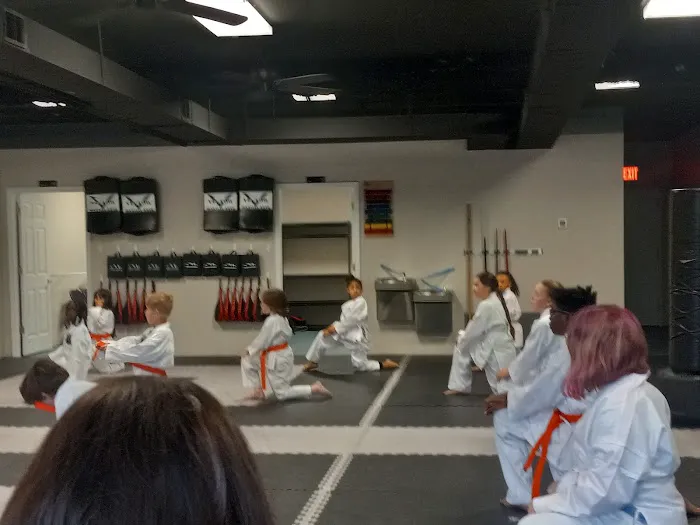 Vector Martial Arts - Wentzville Picture 2
