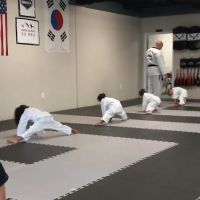Vector Martial Arts - Wentzville ico