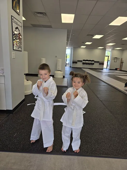 Vector Martial Arts - Wentzville Picture 4