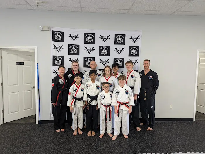 Vector Martial Arts - Wentzville Picture 3