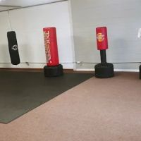 Academy of Martial Arts ico