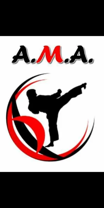 Academy of Martial Arts Picture 2