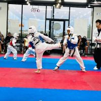 Master Yoo's World Champion Tae Kwon Do ico